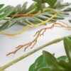 philo 3 hanging plant 1