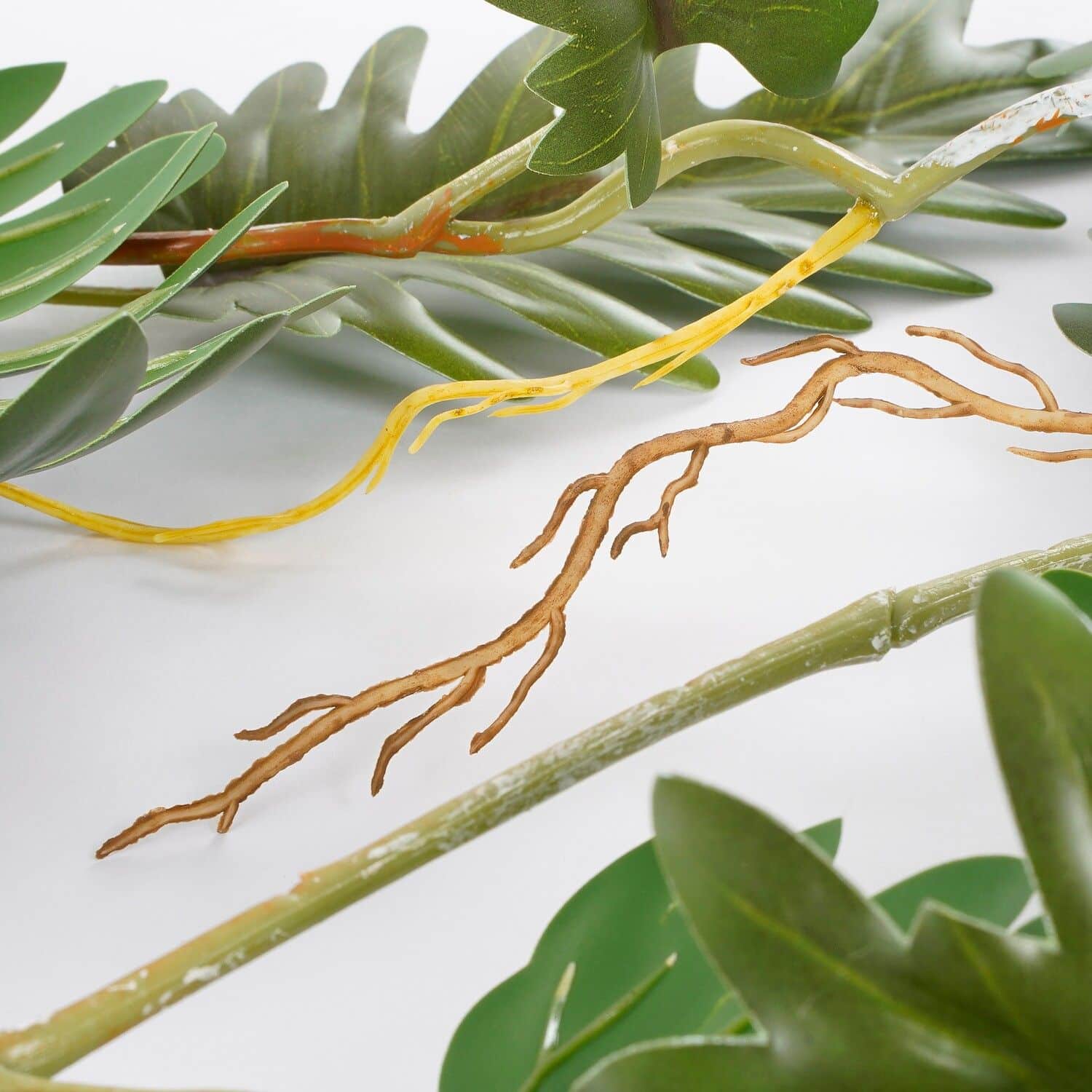 philo 3 hanging plant 1