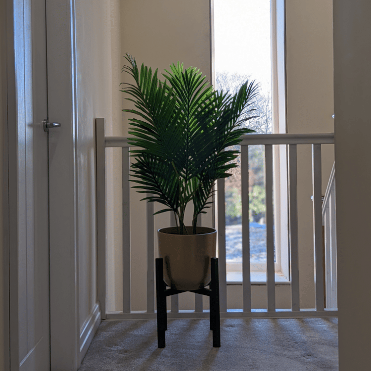 Areca Landing Areca Landing