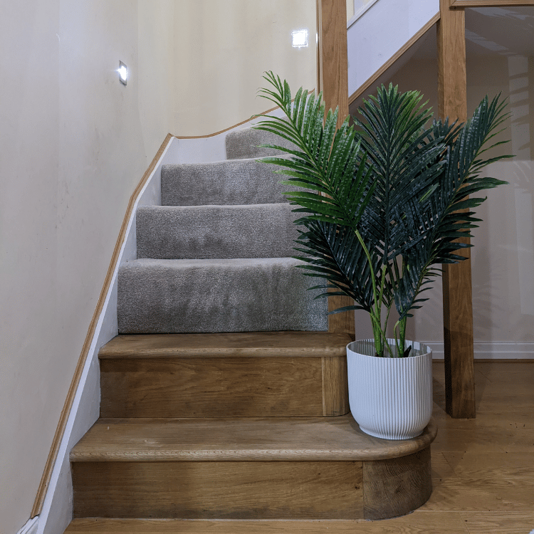 Areca Stairs Areca Stairs