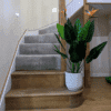 BoP stairs BoP stairs