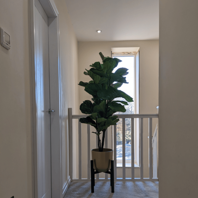 FLF Landing pot