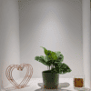 Monkey Mask Alcove Monkey Mask Alcove