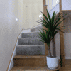 Yucca stairs yucca staris