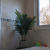 areca bathroom bathroom