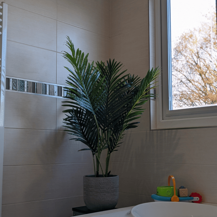 areca bathroom bathroom