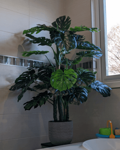 monstera bathroom