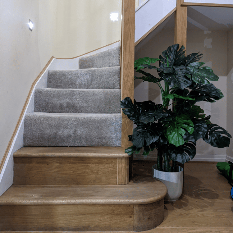 monstera stairs