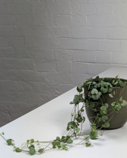 string of heart and pot