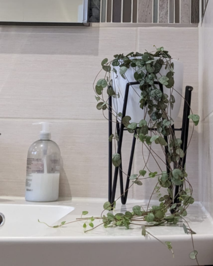 String of Hearts pot and stand