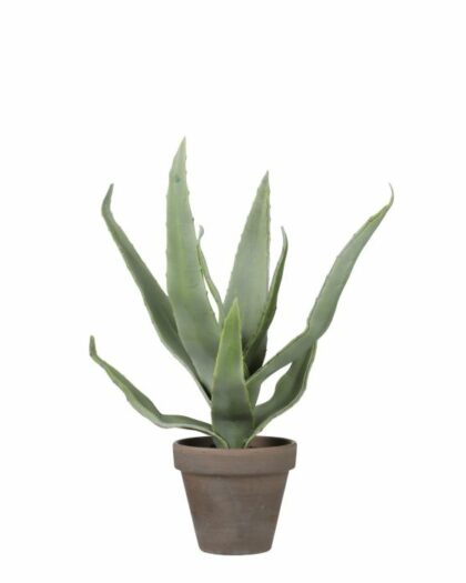 artifical succulent