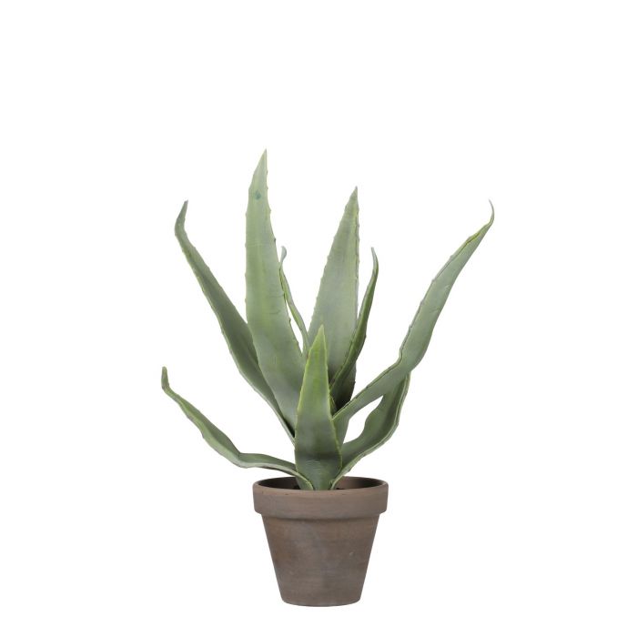 8718861774108-01a artifical succulent