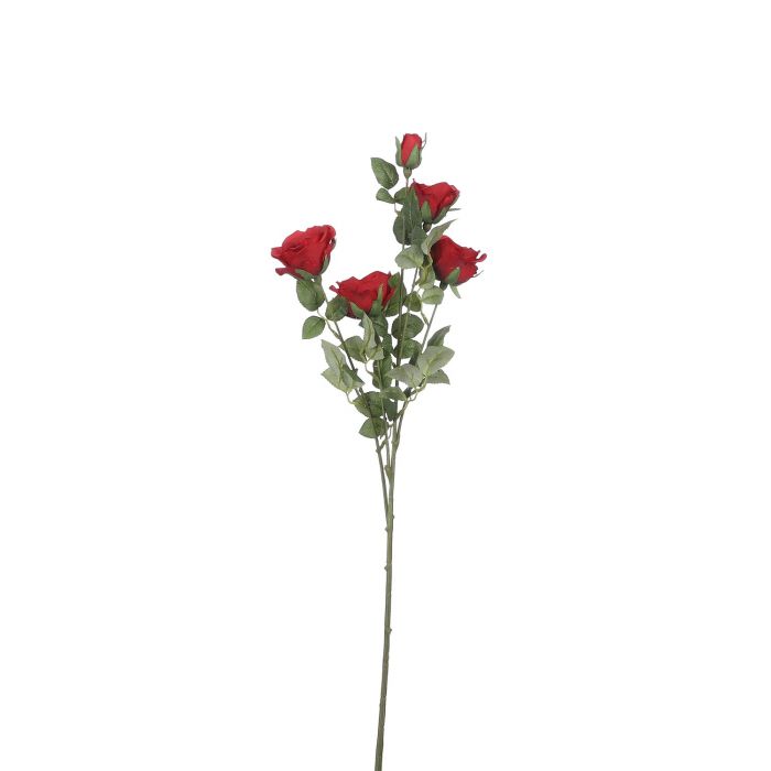 8718861944204 red rose