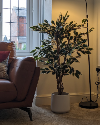 artifical ficus tree