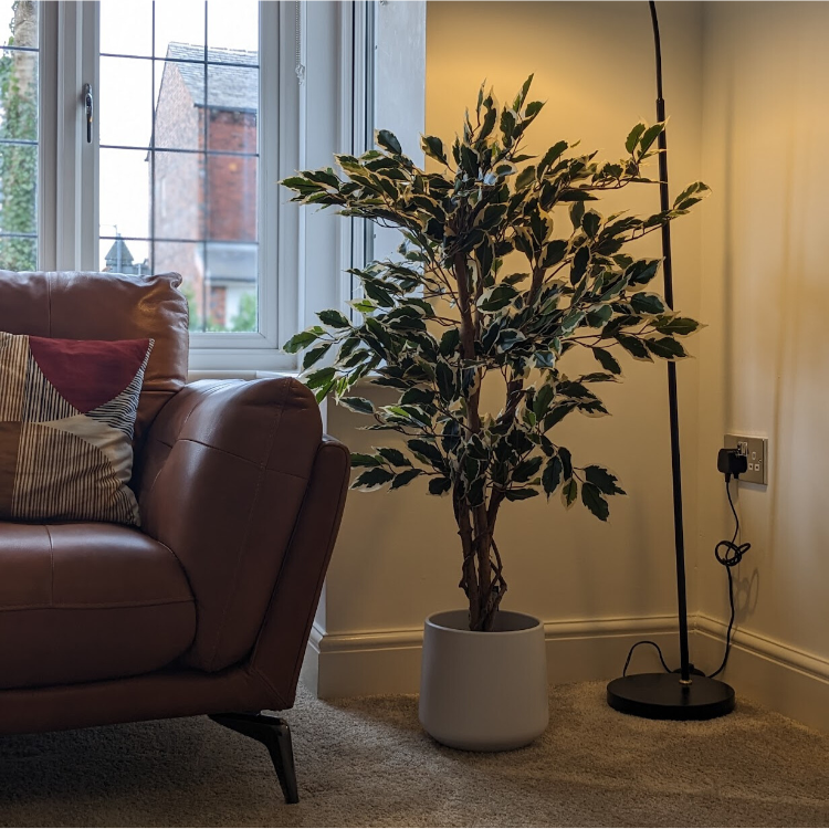 artifical ficus tree