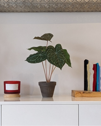 Artificial Peperomia