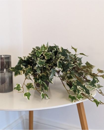 Hanging Ivy Artificial