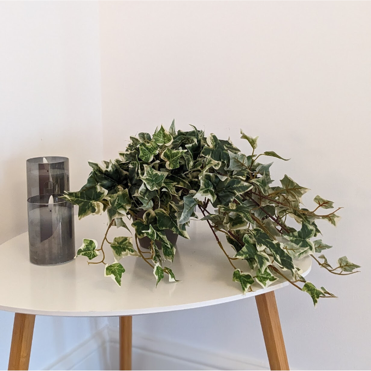 Untitled design-36 Hanging Ivy Artificial