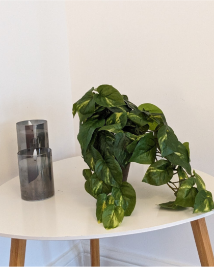 Artificial Pothos Plant