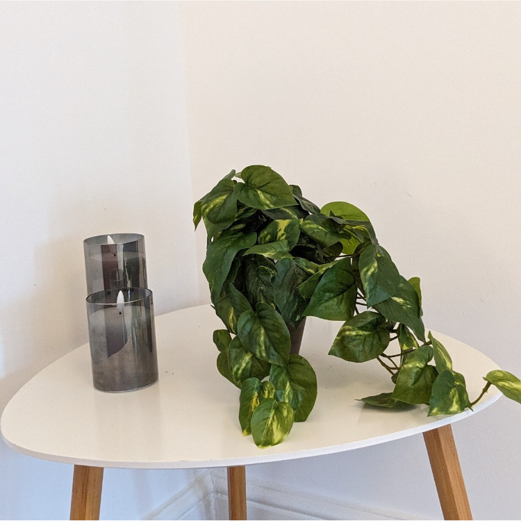 Artificial Pothos Plant
