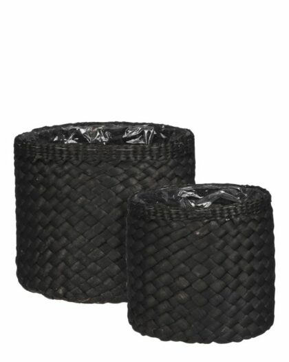 woven bascket 1