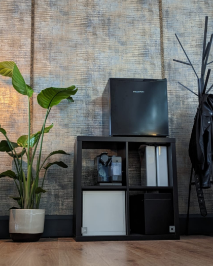 Bird of Paradise Plant - 140cm +
