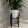 white pot for plant