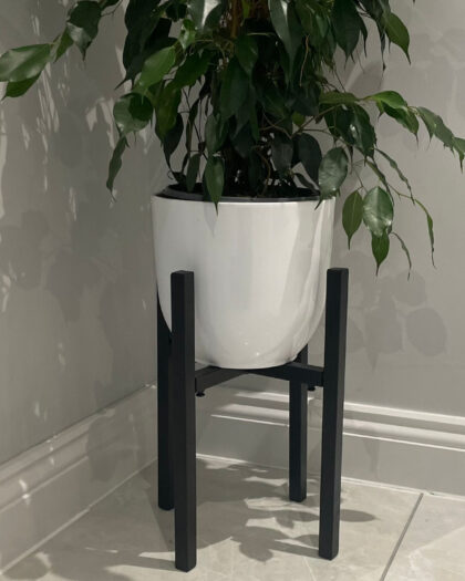 white pot for plant