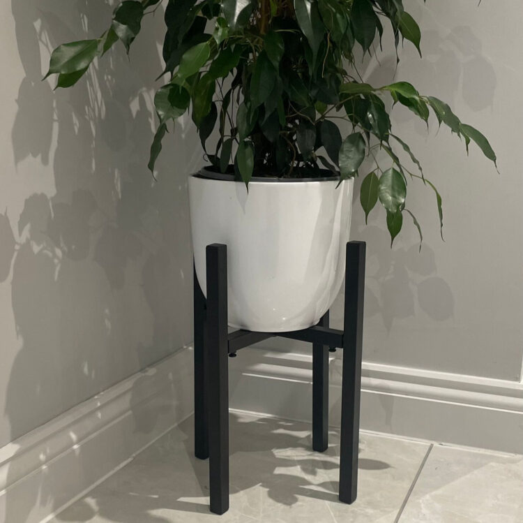 white pot for plant