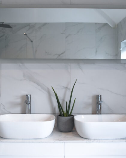 bathroom bundle aloe vera sink