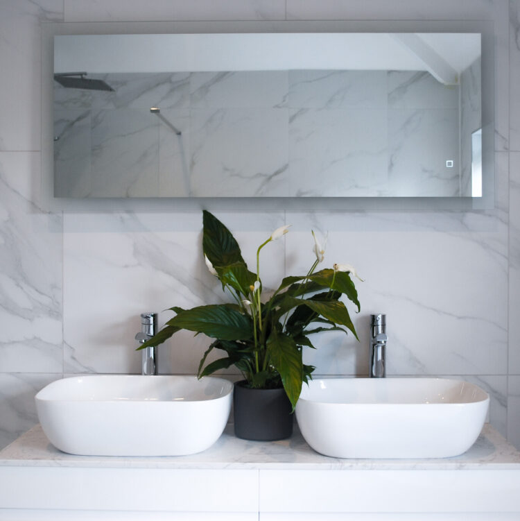 Bathroom Plant Bundle