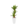 Elho Brussels Plant Pot