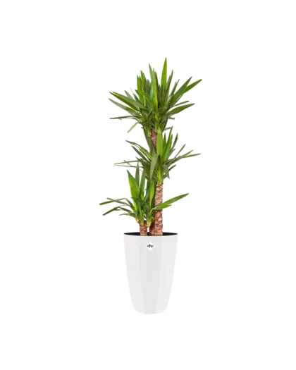 Elho Brussels Plant Pot