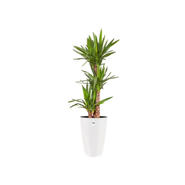 Elho Brussels Plant Pot