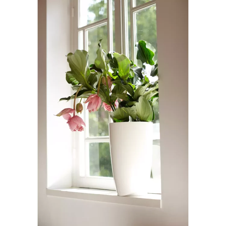 Elho Brussels Plant Pot