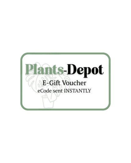 Plant Gift Voucher