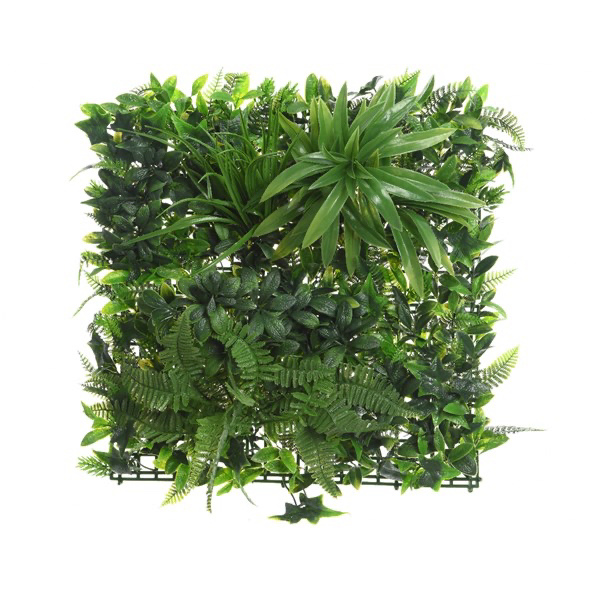 exotic living plant wall - 50x50 exotic-living-plant-wall
