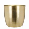 golden metal plant pot curved