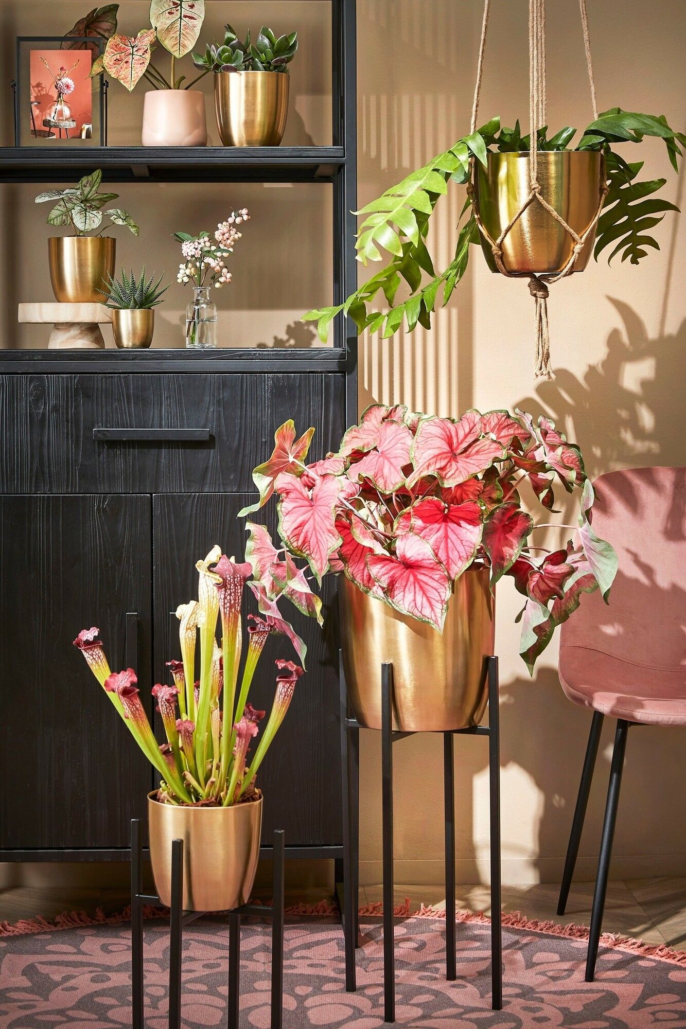 Golden Metal Plant Pot (Curved)