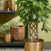 golden metal plant pot