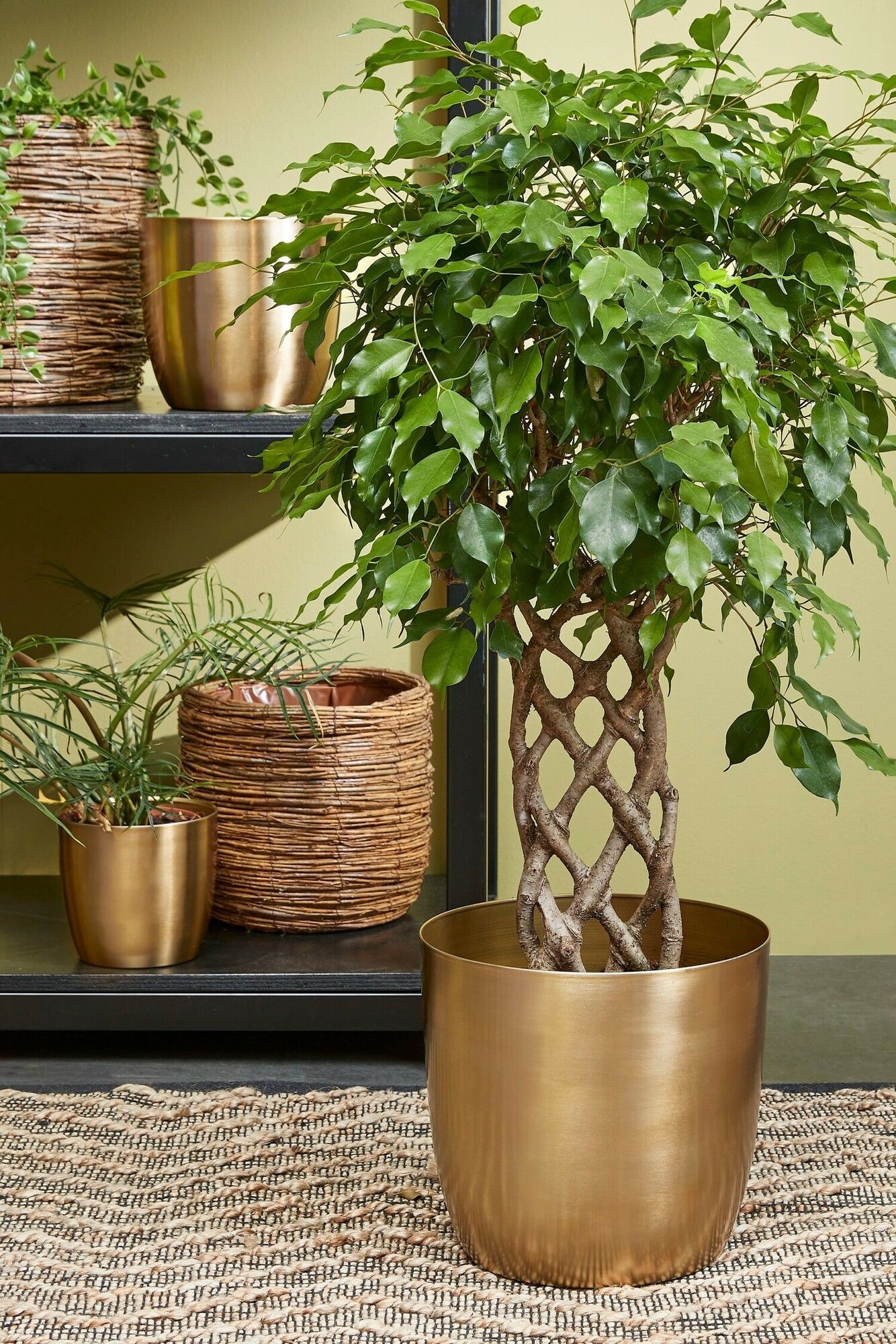golden metal plant pot