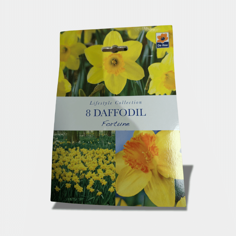 daffodils