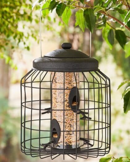 Seed Feeder