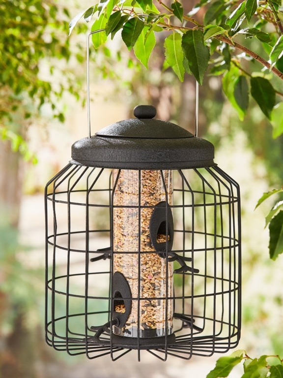 Seed Feeder
