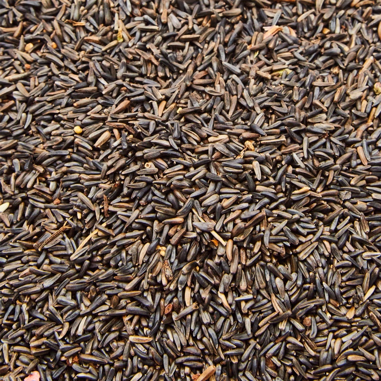 Ambassador Nyger Seed2