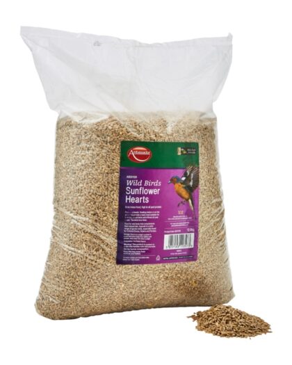 Ambassador Sunflower Hearts