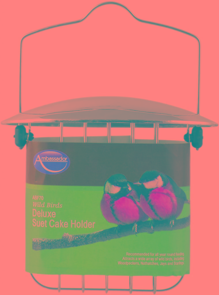 Ambassador Wild Birds