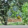Window Bird Feeder