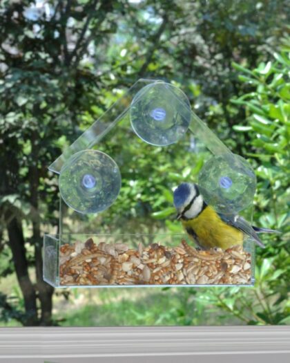 Window Bird Feeder