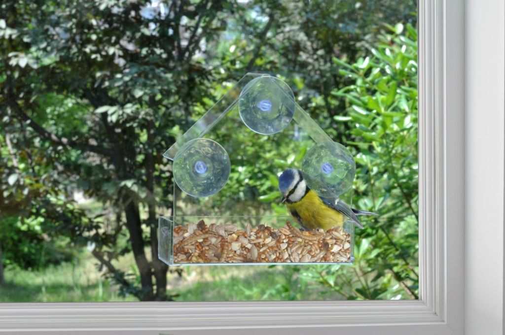 Window Bird Feeder